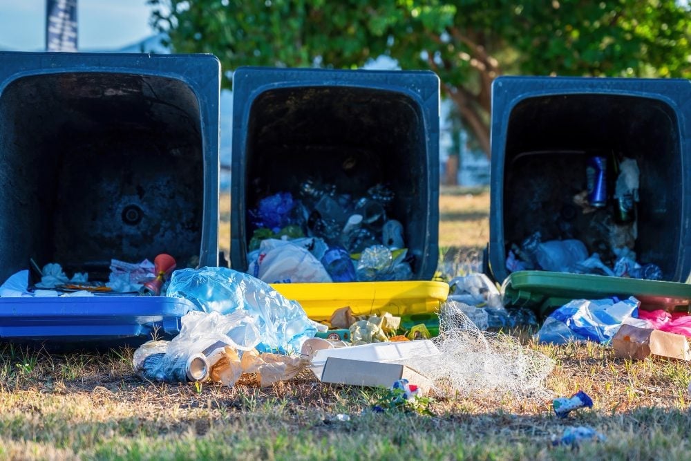 wast removal skip bins